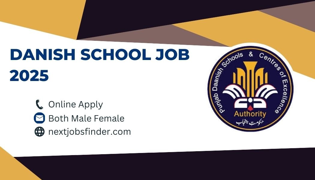 Danish School Job 2025